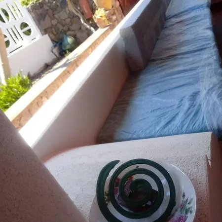 Vulkanohome * فولكانو