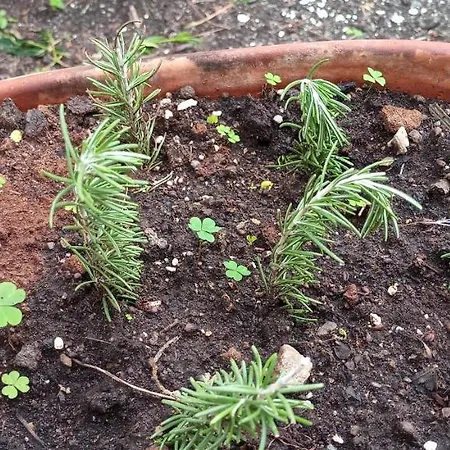 בית הארחה Vulkanohome