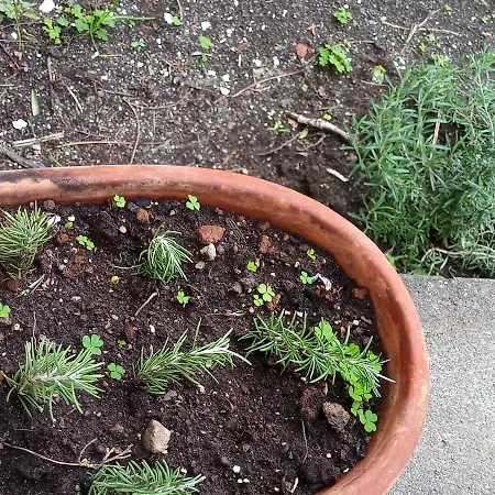 Vulkanohome בית הארחה וולקאנו