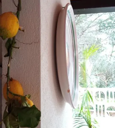 Vulkanohome בית הארחה וולקאנו